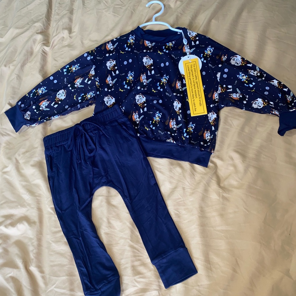 Bluey Harry Potter Bamboo Daywear set NWT